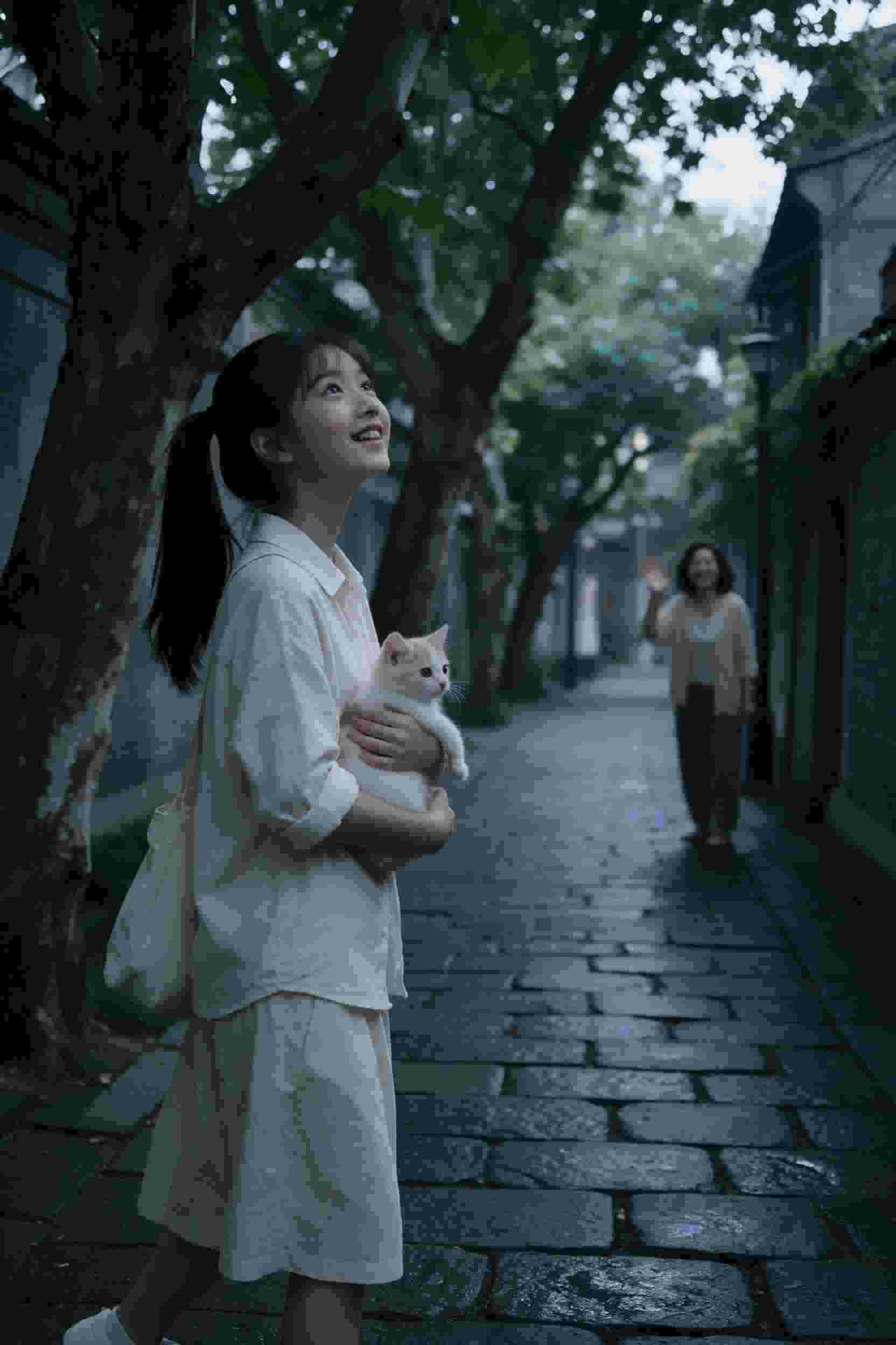 梦想光芒